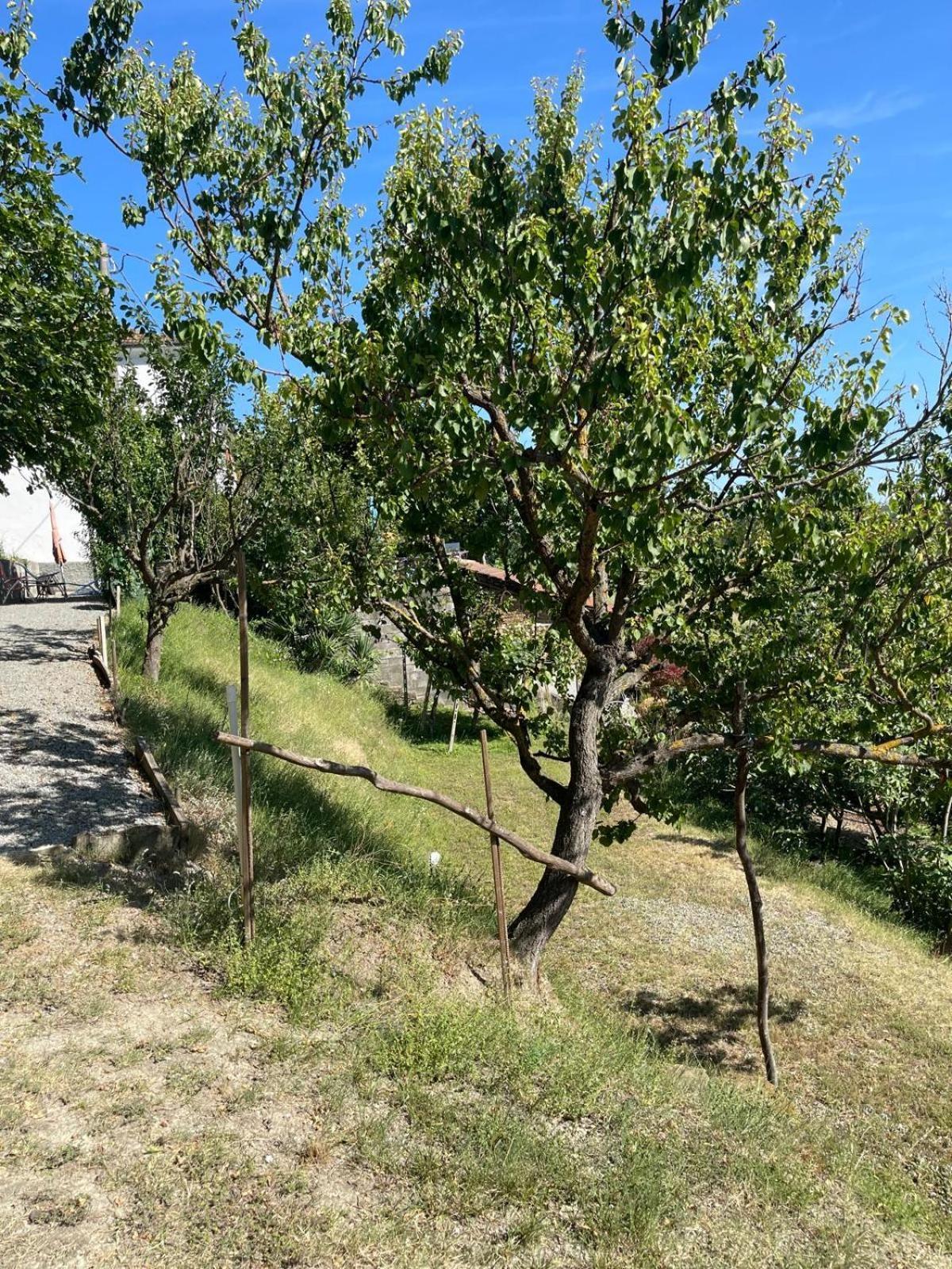 Casa Petra - Casa Tre Stelle - Casa Caneva - Ferien für 6-14 Personen Ponti Exterior foto